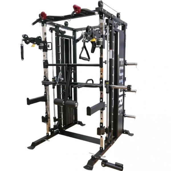 functional trainers (multi station gyms)